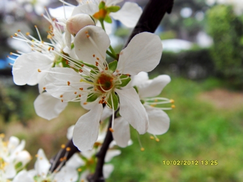 SDC11351.jpg
