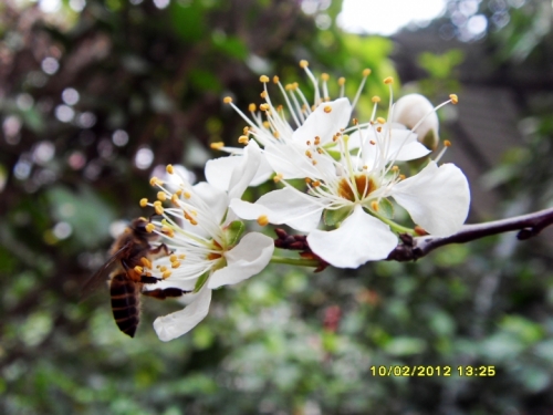 SDC11353.jpg