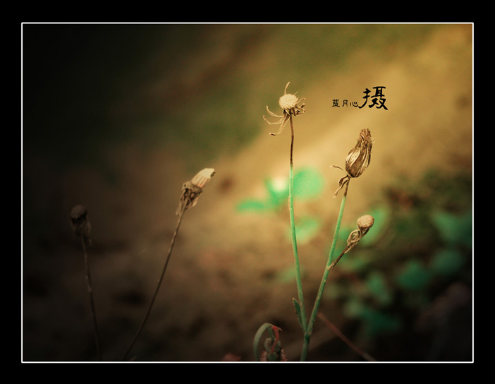 DSCN1675.jpg