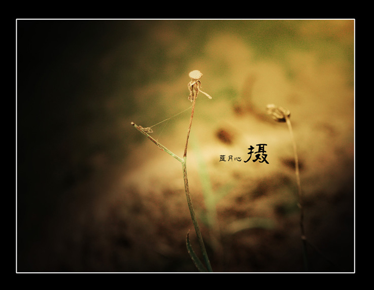 DSCN1676.jpg