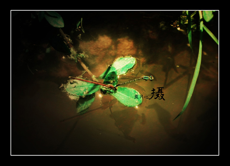 DSCN9105.jpg