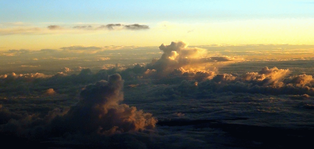 DSC02793.gif