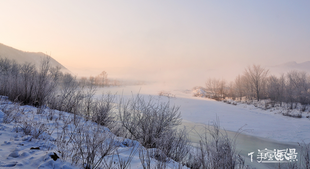 DSC_3139.jpg