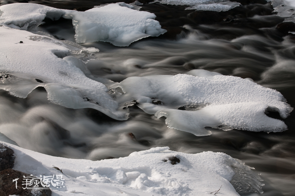 DSC_2942.jpg