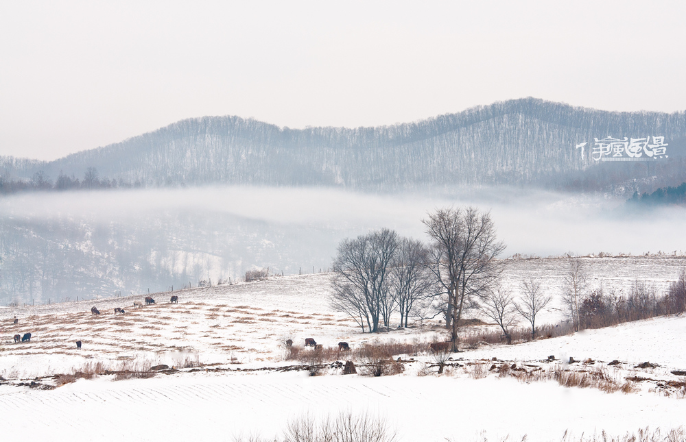 DSC_2969.jpg