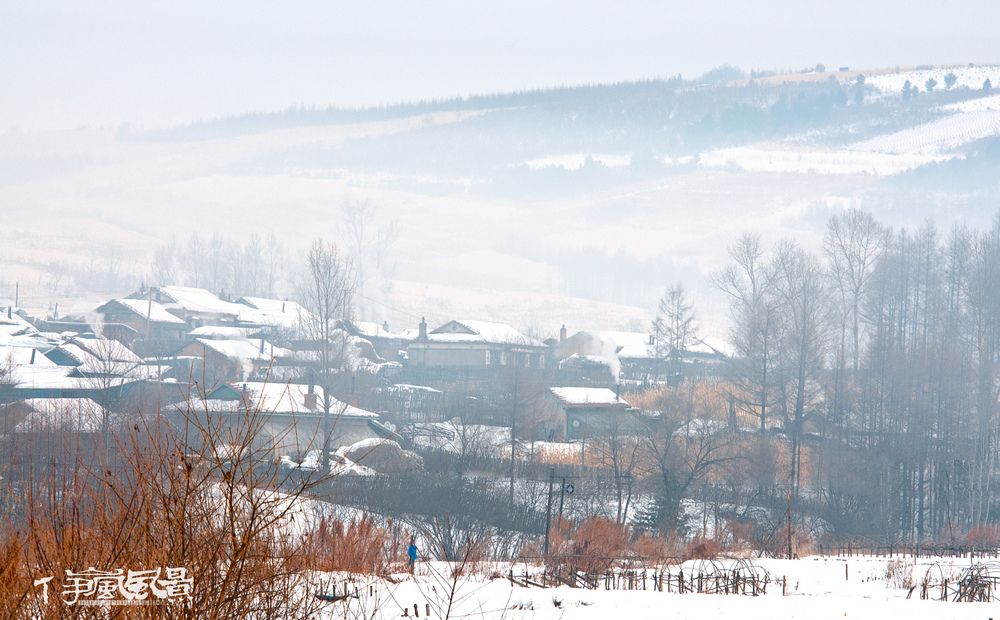 DSC_2965.jpg