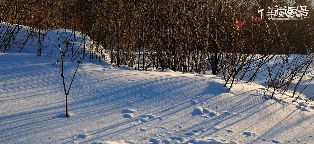 DSC_3382.jpg