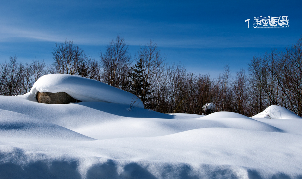 DSC_3659A.jpg