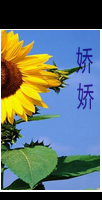 1999.png