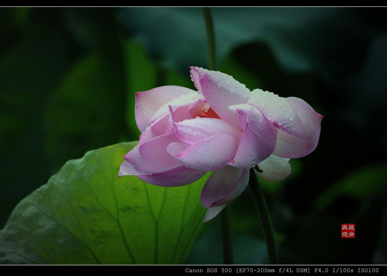 IMG_1864_��Ӱ_2.jpg
