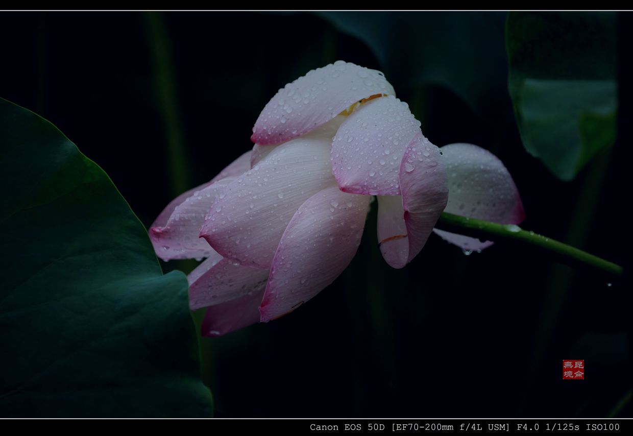 IMG_1852_��Ӱ_2.jpg