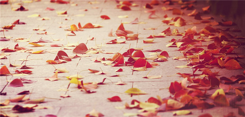 psb (6)_����.jpg