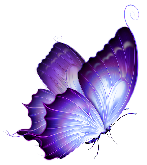 butterfly-png-1.png